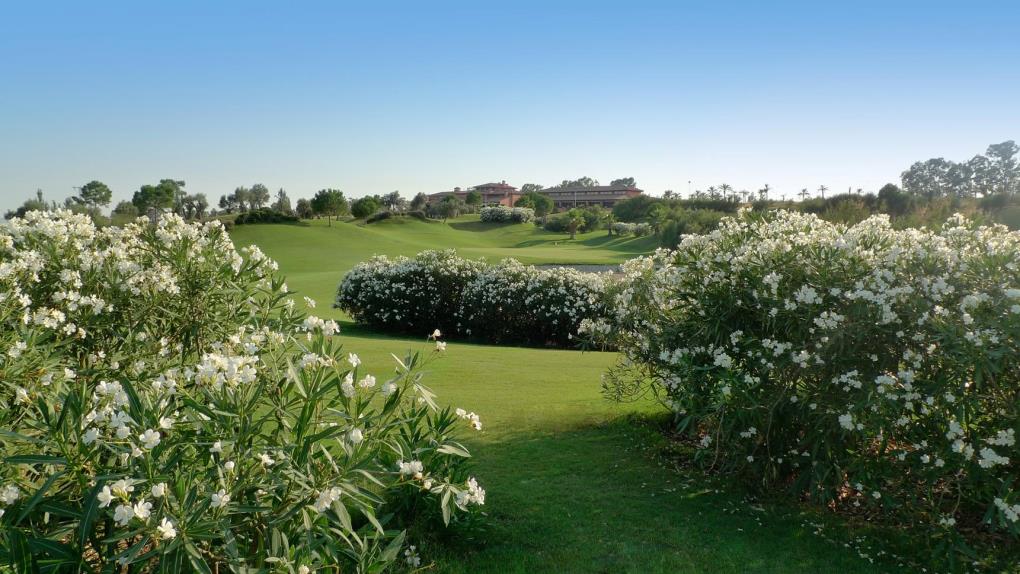 Club de Golf Hato Verde