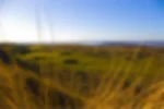 Golf course - wallasey : wallasey-hole-4