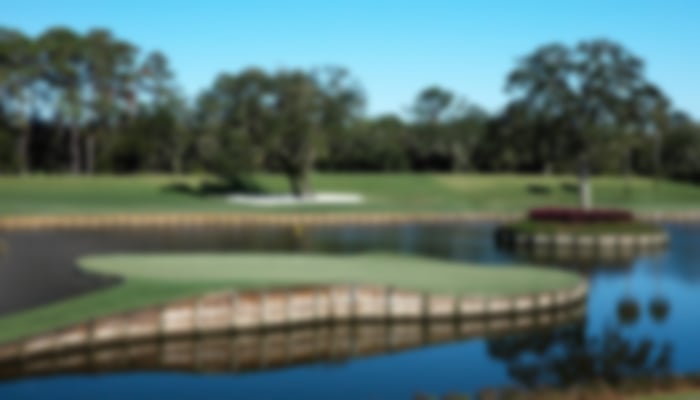 TPC_Sawgrass_17th.jpg