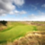 Golf course - royal-birkdale : birkdale11029x668