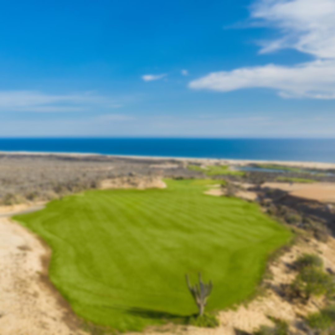 Aerial shot of lush green fairway at Solmar Golf Links