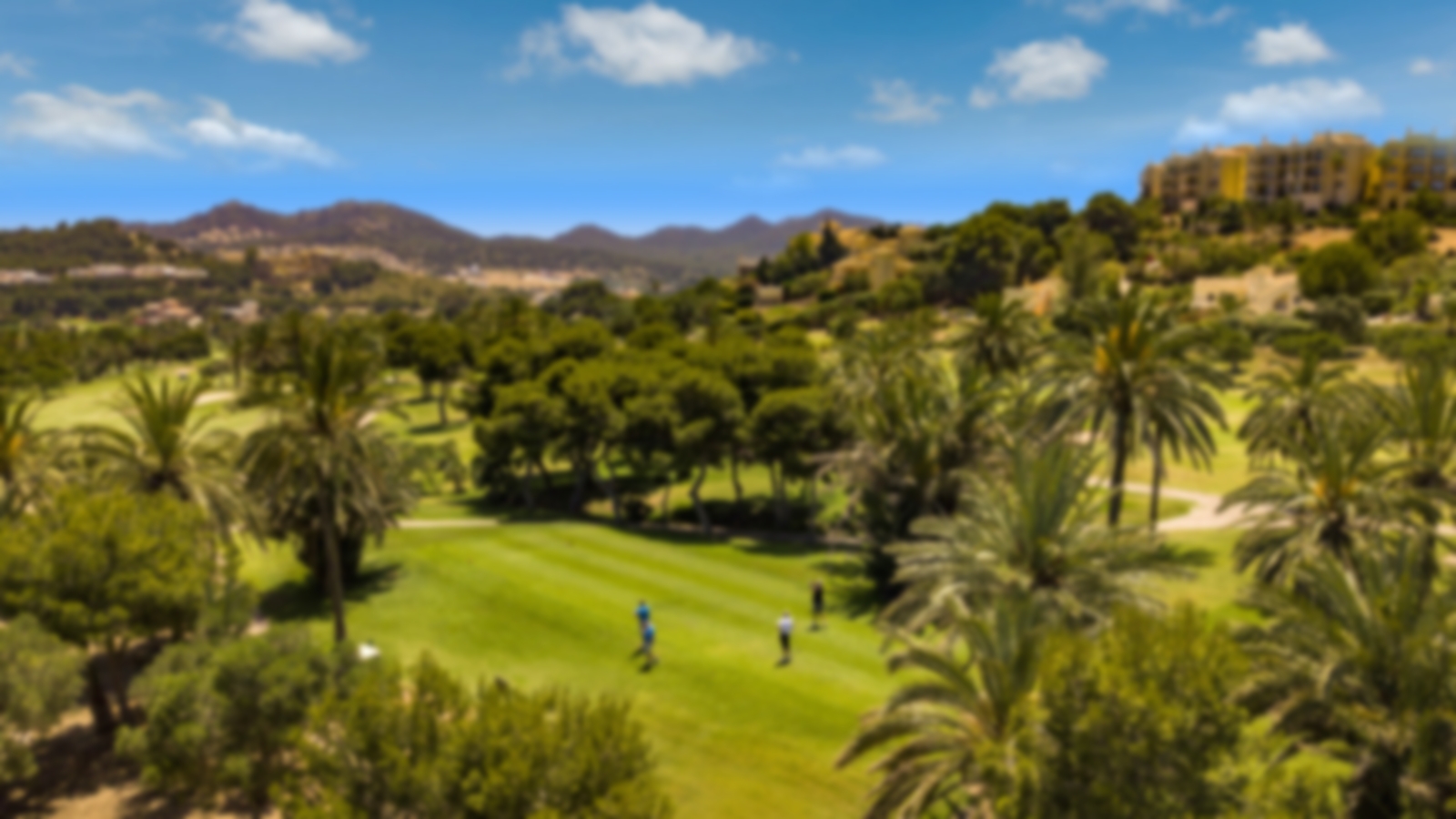 Sunny weather and an amazing course