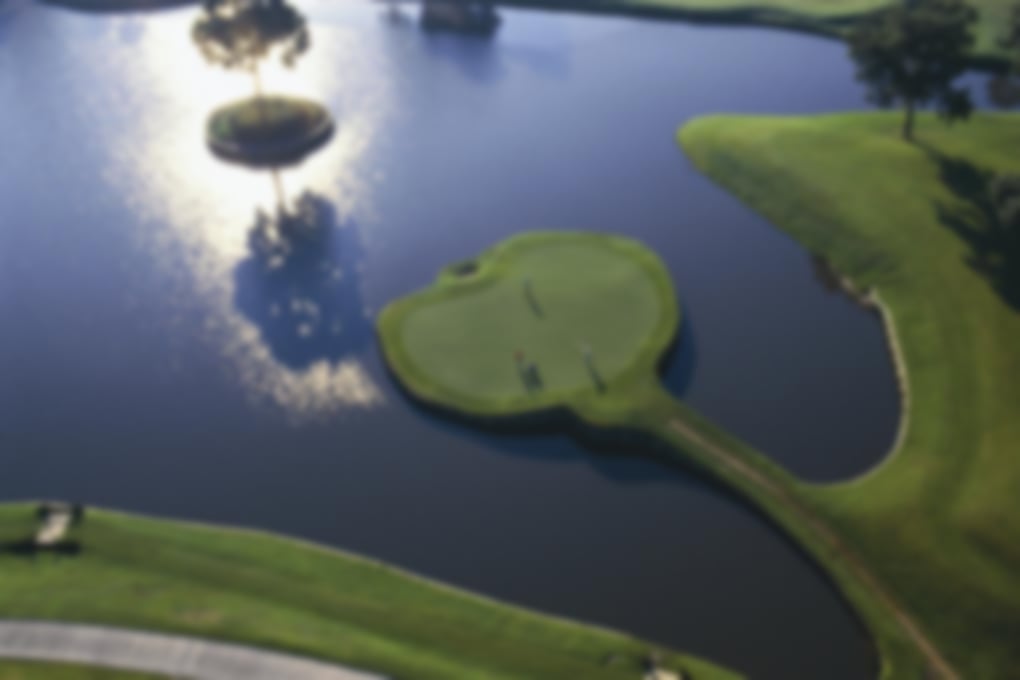 Sawgrass 17th