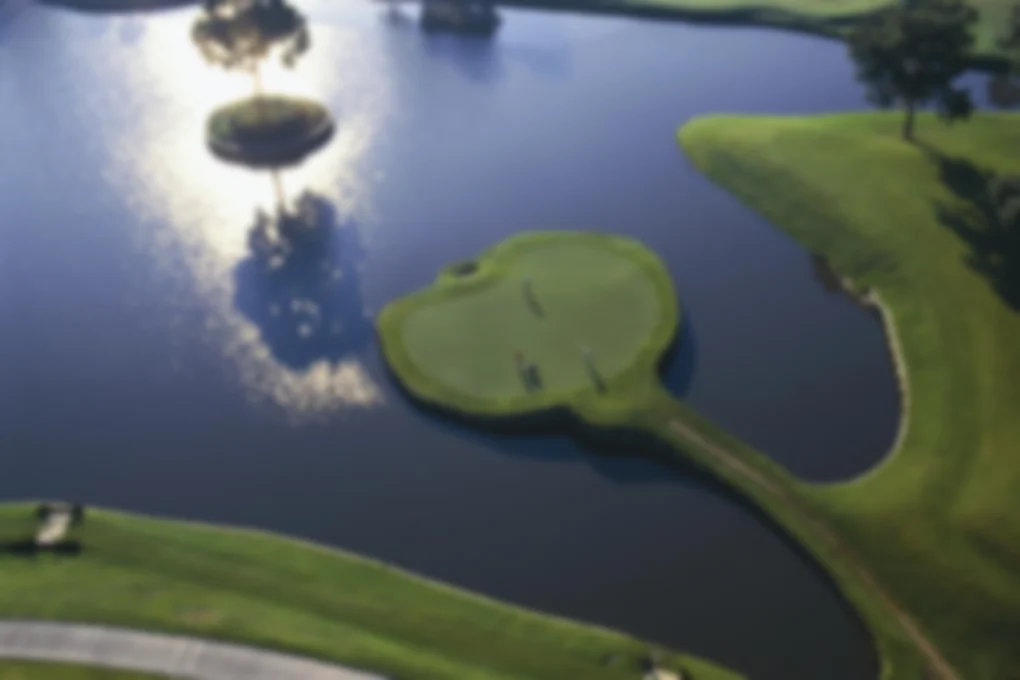 Sawgrass 17th