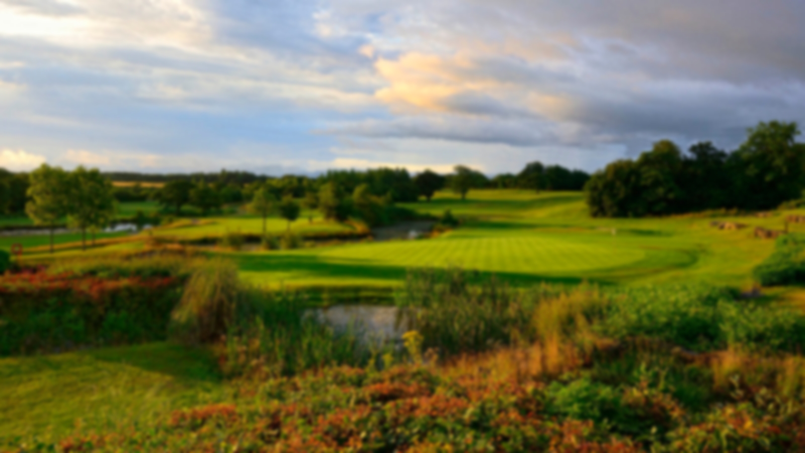Manicured green at The Vale Resort fronted by water.