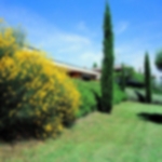 Venue - residence-poggio-del-golf : giardino