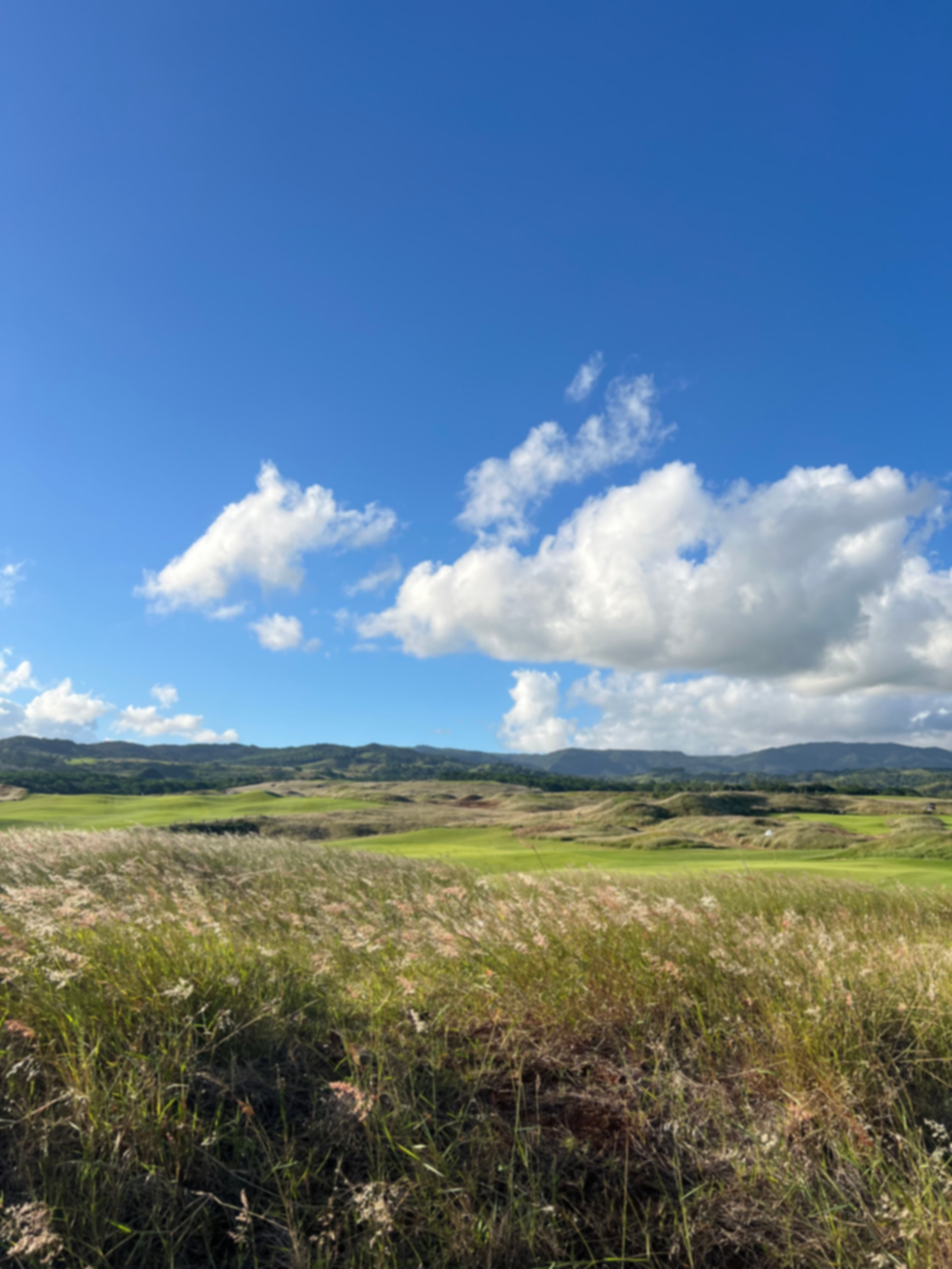 golf course in Mauritius
