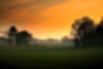 Venue - walton-heath16th-old