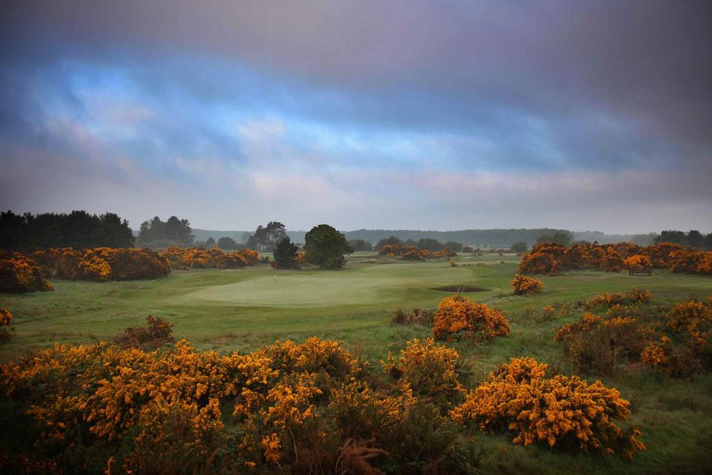 Golf course - ganton-golf-club : ganton-14th-behind-4349