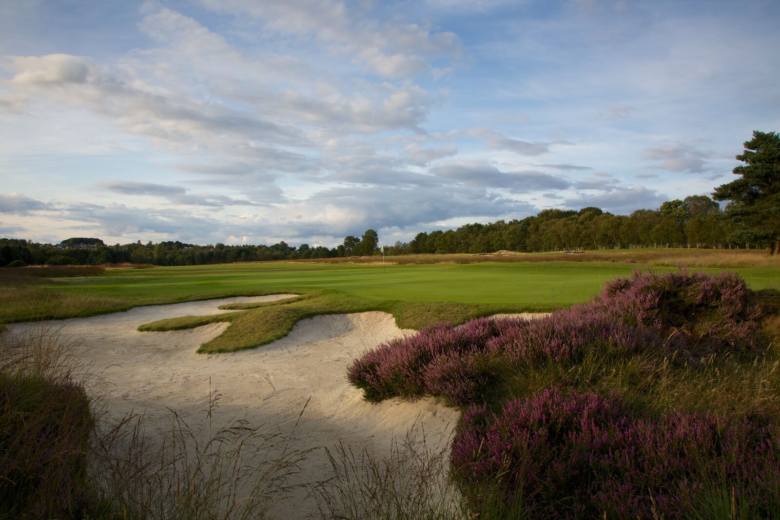 Moortown golf club 