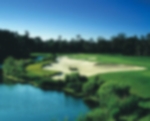Golf course - osprey-point-course-kiawah-island : ospreypoint61-copy