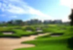 Watson's Independence Course
