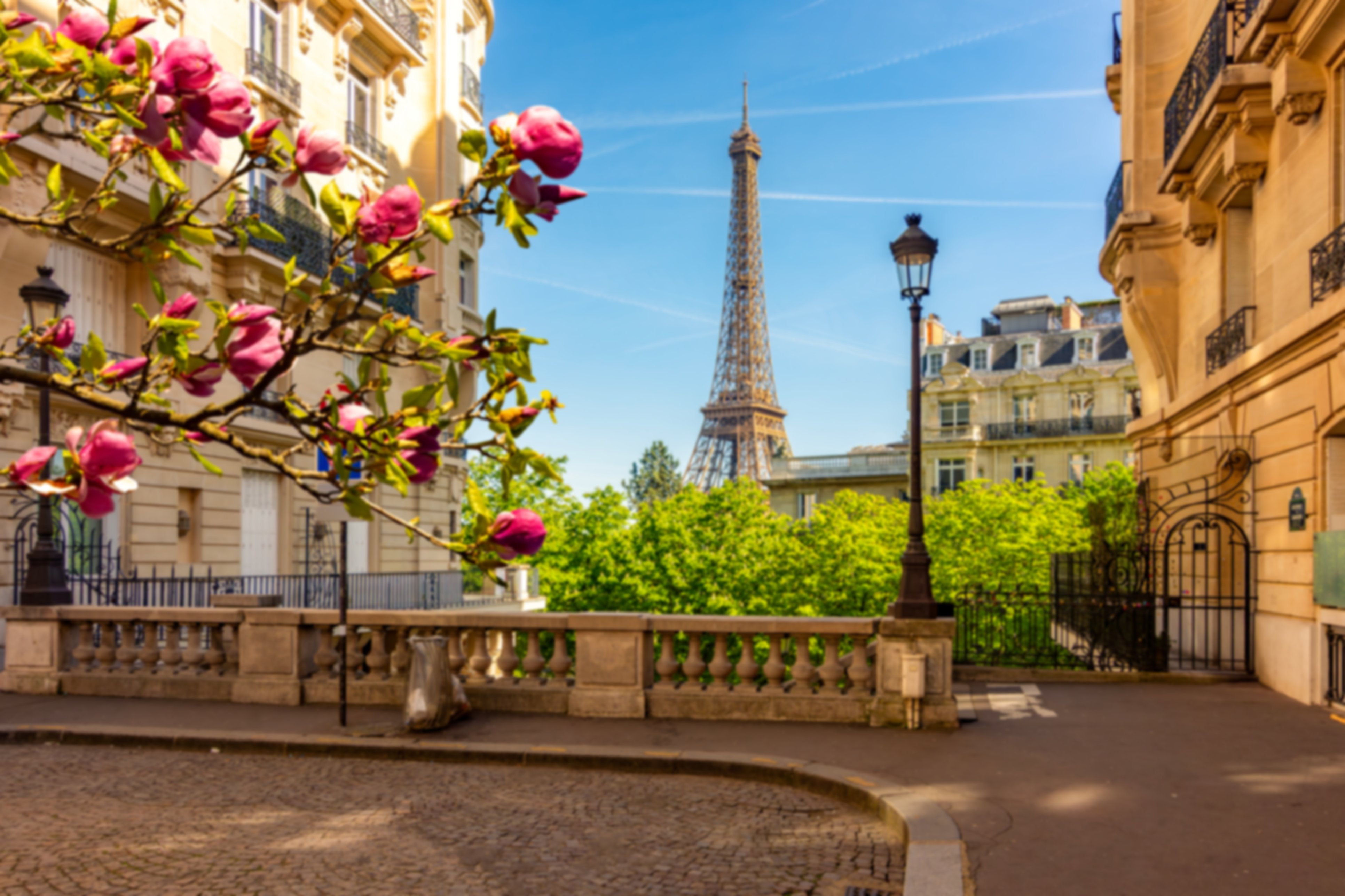 A view of the Eiffel Tower