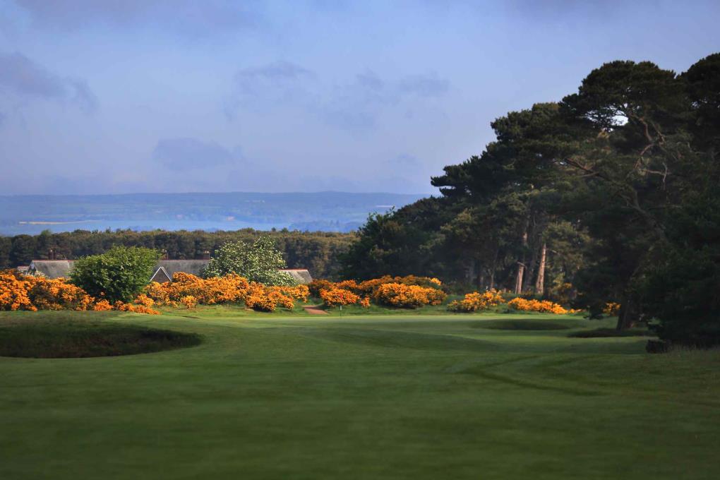 Golf course - ganton-golf-club : ganton-16th-2257