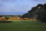 Golf course - ganton-golf-club : ganton-16th-2257