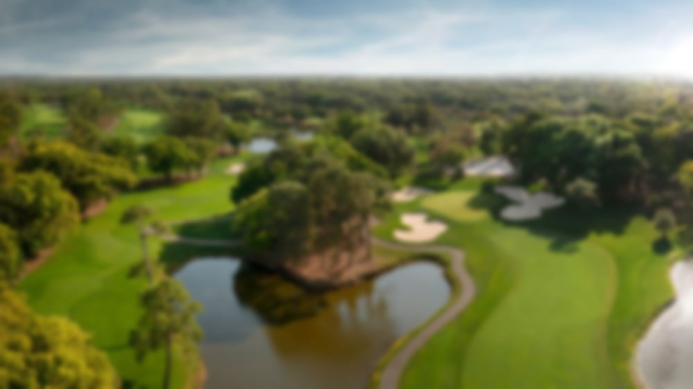 Large-innisbrook-aerial.jpg