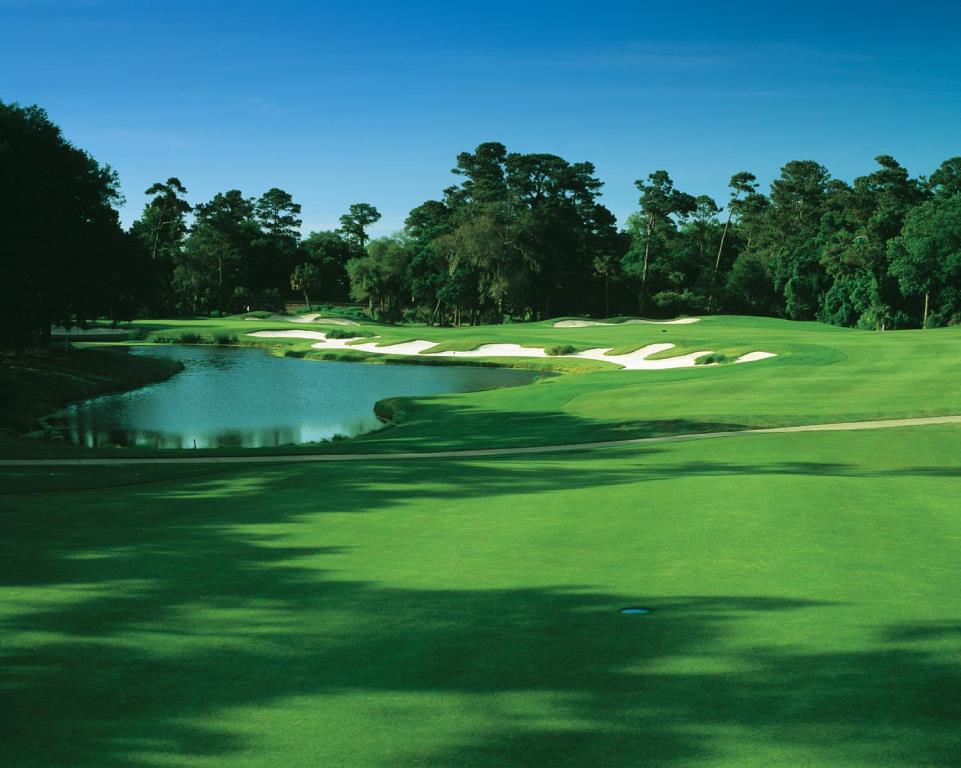 Golf course - cougar-point-course-kiawah-island : cougarpoint31-copy