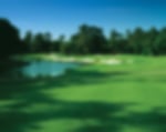 Golf course - cougar-point-course-kiawah-island : cougarpoint31-copy