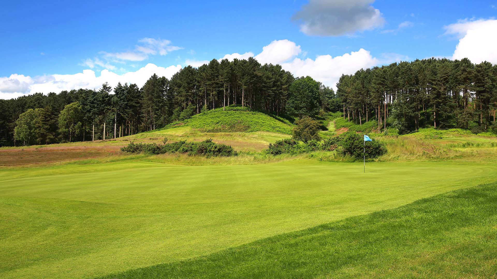 Large green with Nottingham forest in the background
