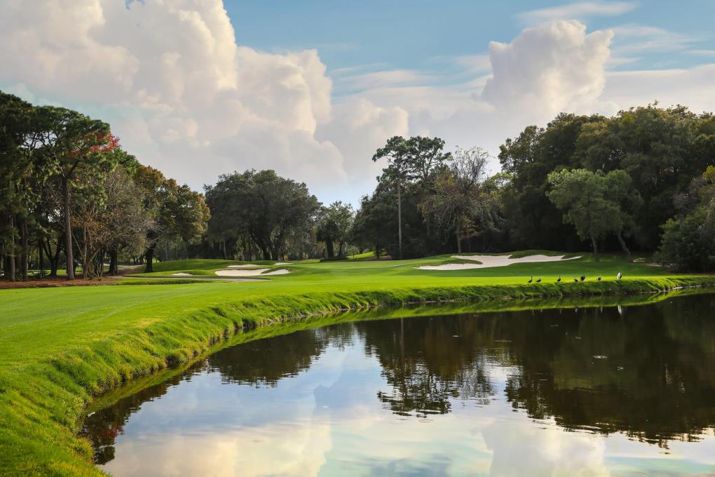 Venue - innisbrook-resort : innisbrook-copperhead-7070-web