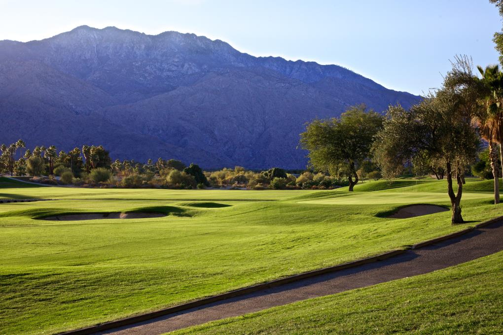 Palm Springs golf tour