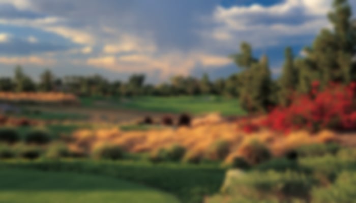 Content-Arizona-Golf-002.jpg