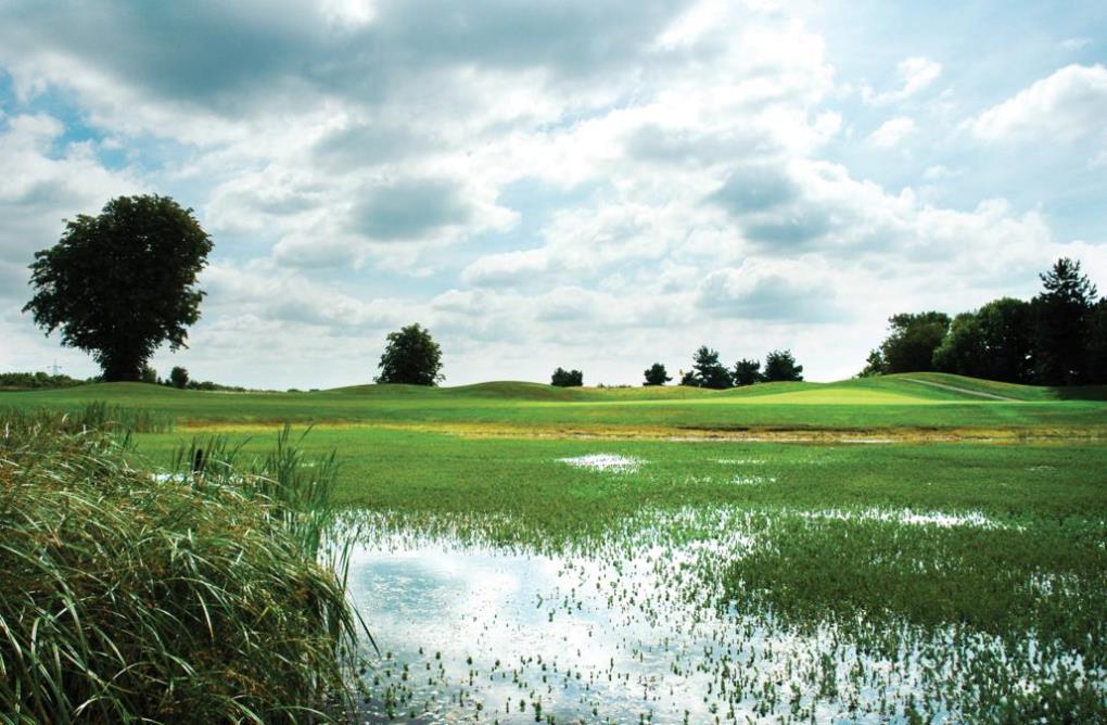 Book a golf break to East Sussed National Golf Club, Sussex