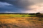 Venue - st-andrews-new-11th-2275916x611