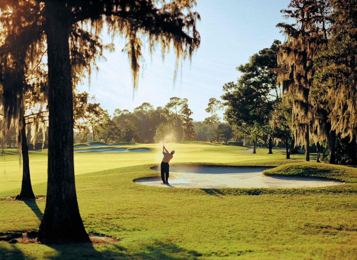 Player hitting out of the bunker on the Magnolia course at Disney 