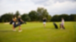 female golfers on course - image 1