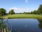 Venue - puckrup-hall : lake-fairway
