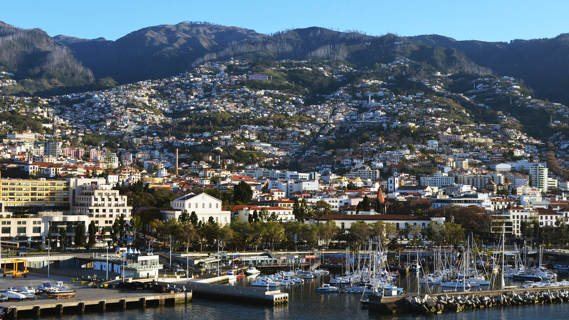 The beautiful Madeira mountains and its bay