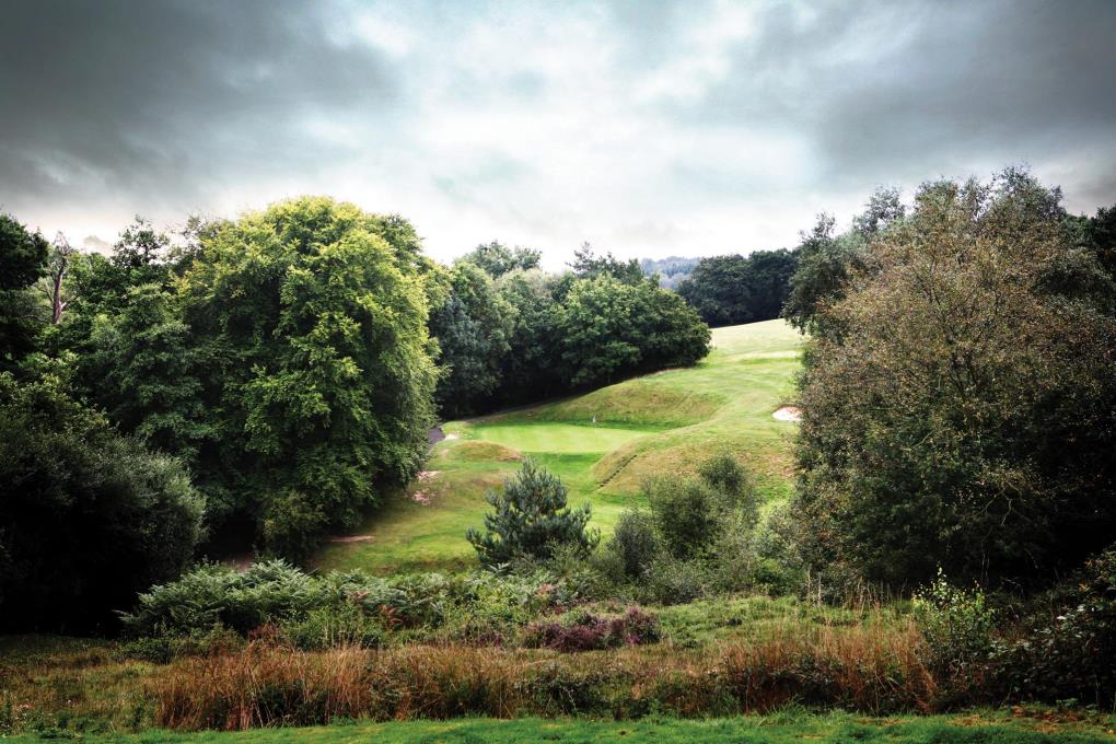 Venue - mannings-heath-golf : punch-bowl-mannings-heath-copy