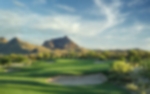 Golf course - saguaro-course : saguaro-8