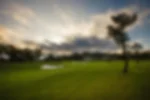Venue - old-course-1832048x1365