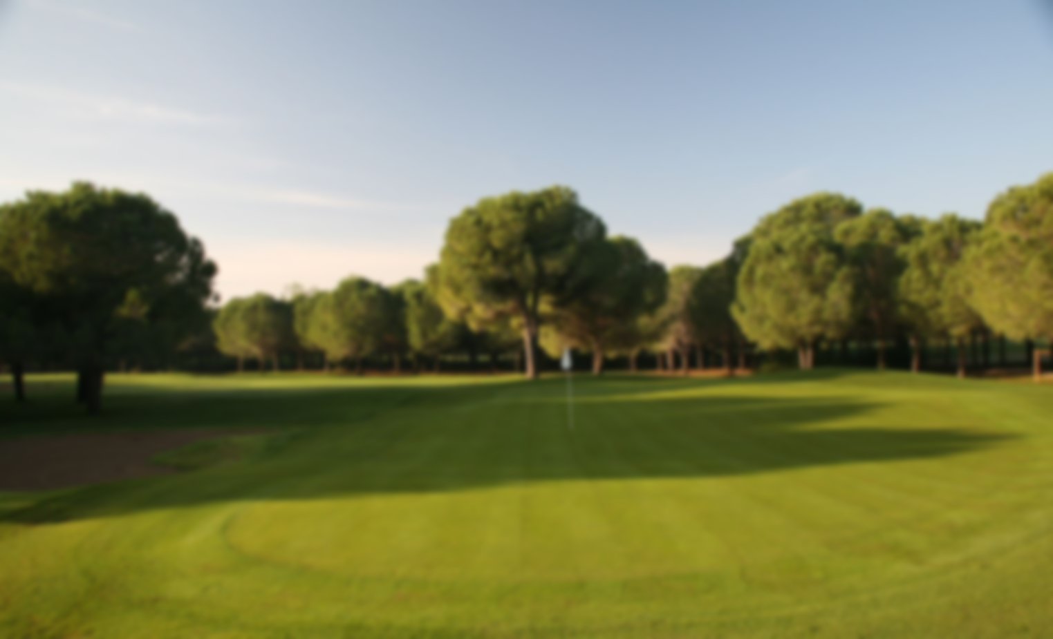 flat 9th green which is protected by trees close together right in front