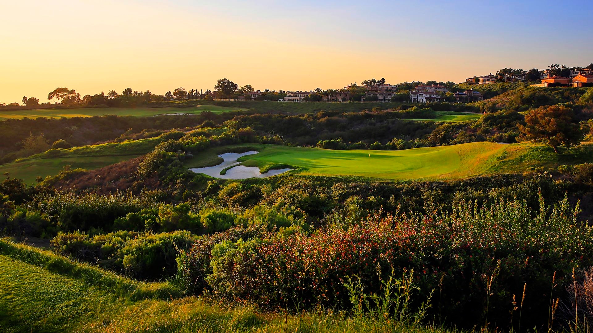 Bushes heavily protecting the green at Pelican Hill