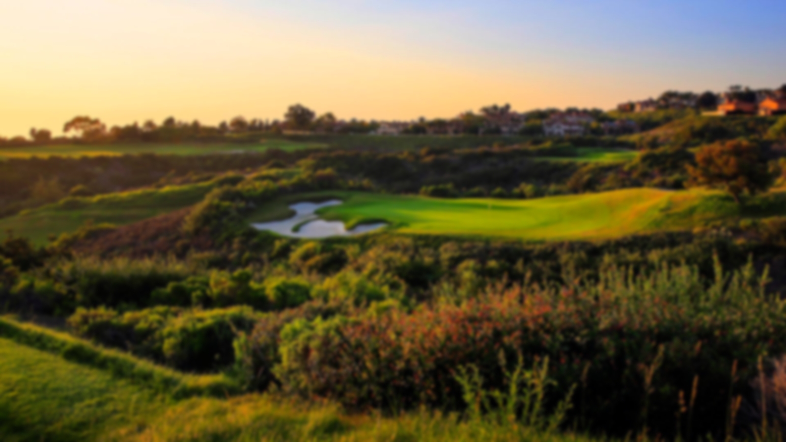 Bushes heavily protecting the green at Pelican Hill