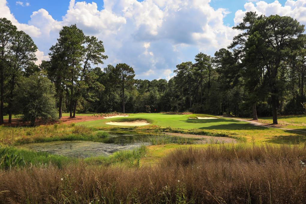 2017-pine-needles-3rd-8734-km