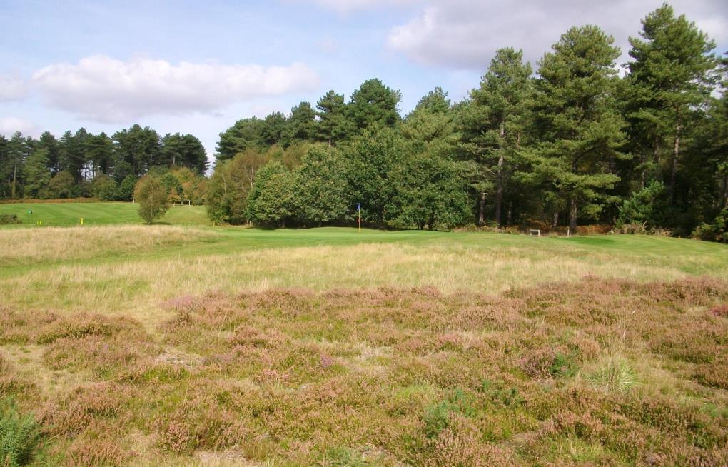 Moors Valley Golf Course