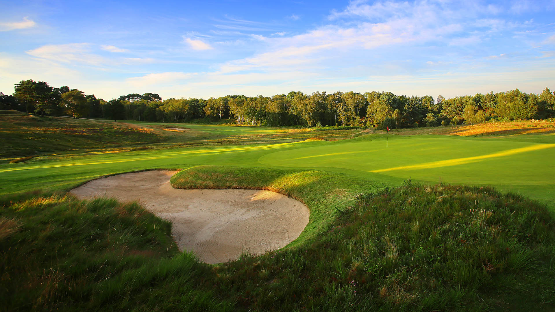 Expansive green in the shadows