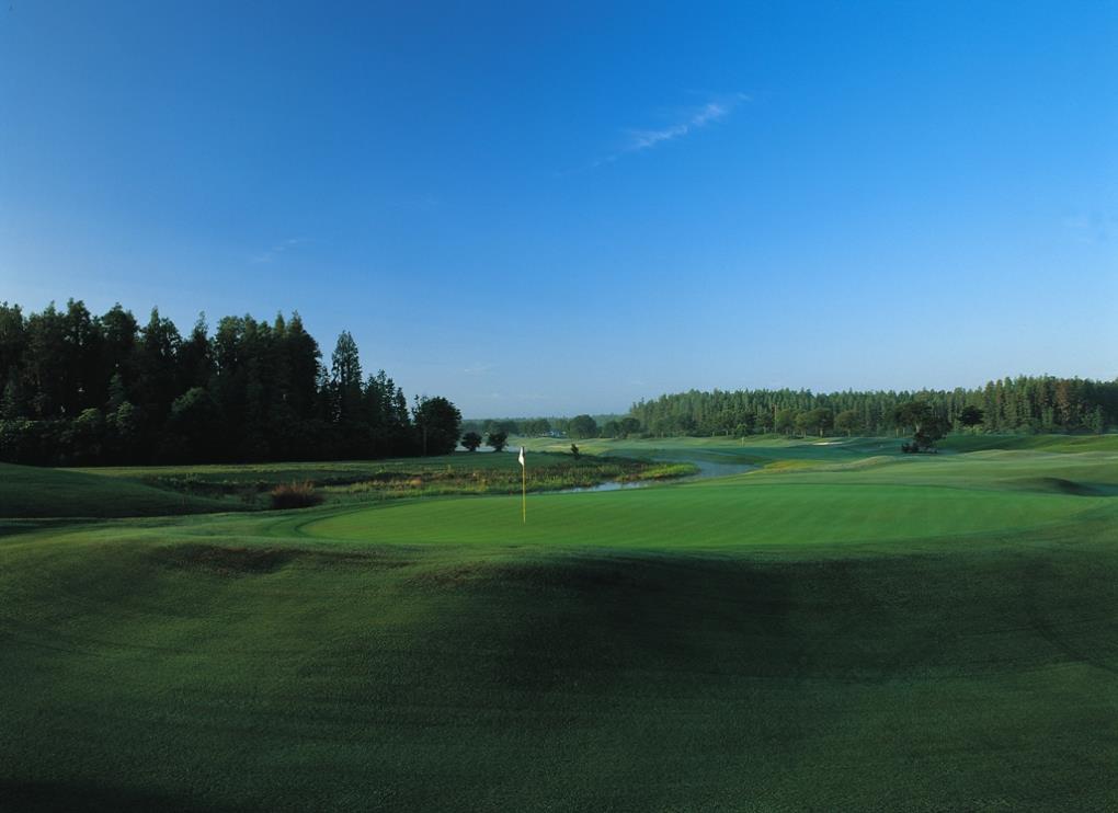 Golf course - tpc-tampa-bay : tpctampabay-004