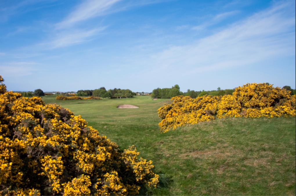 Nairn Dunbar Golf Club