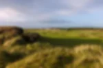 Venue - the-magnificent-western-gailes