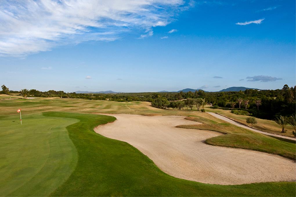 Golf course - citrus-golf-foret-course : laforet-03