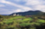 Golf course - lost-city-golf : brochure-2-sun-city