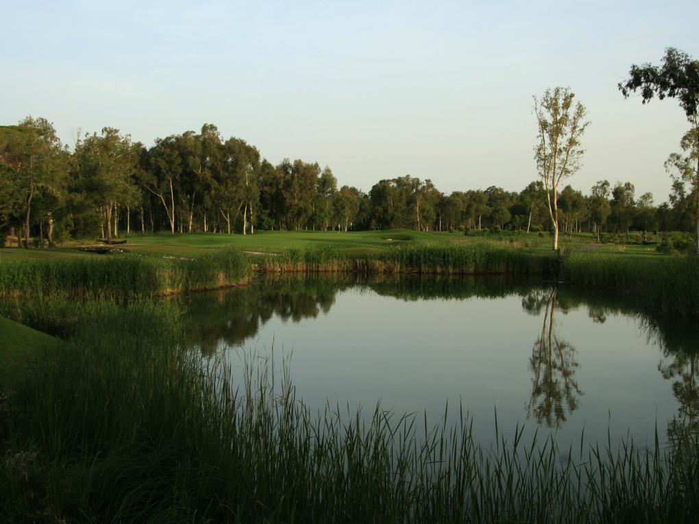 Venue - sultan017