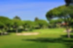 Venue - dona-filipa-san-lorenzo-golf-resort : san-lorenzo-9th-i82a3609916x611