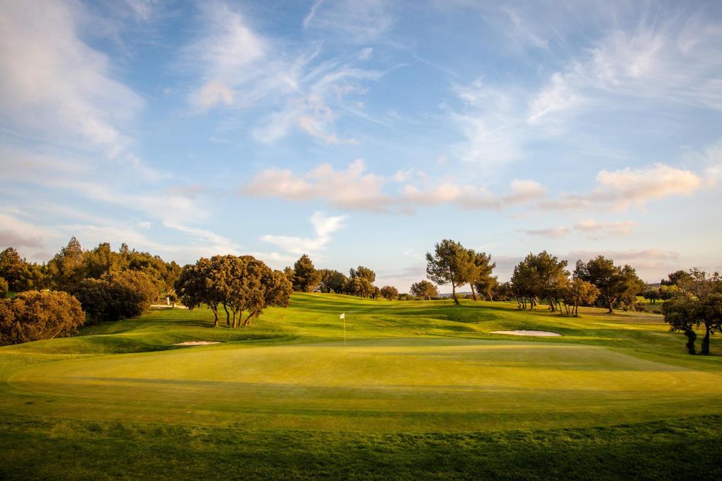 trou-7-arriere-green