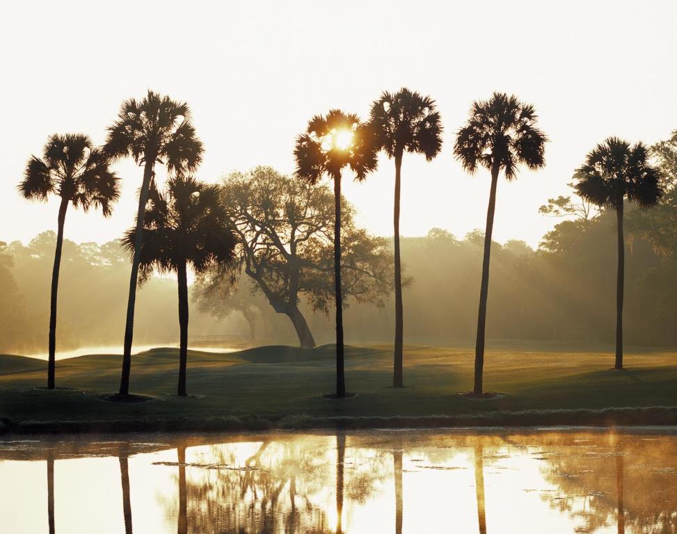 cougarpoint17sunrise1-copy